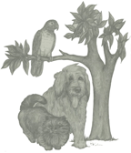 Narbonne Animal Clinic Logo